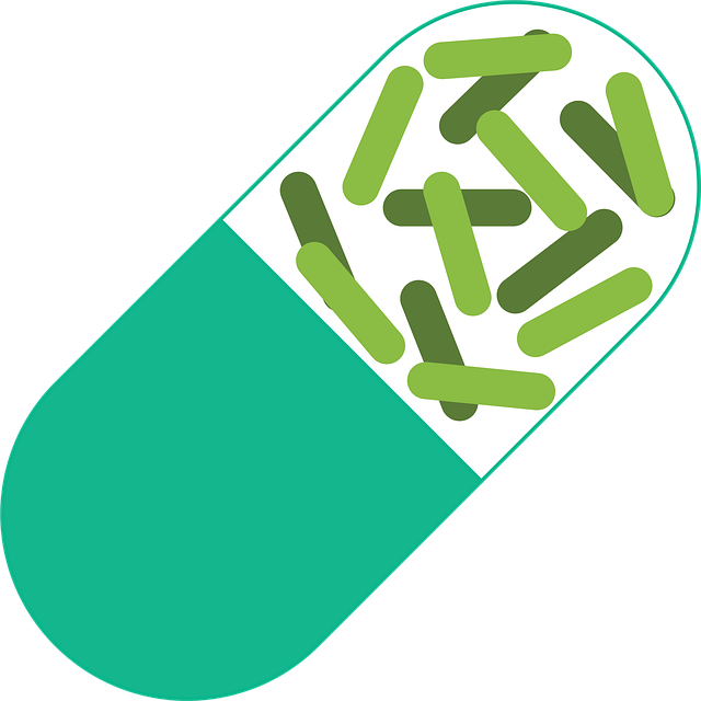 영양제 고르는법