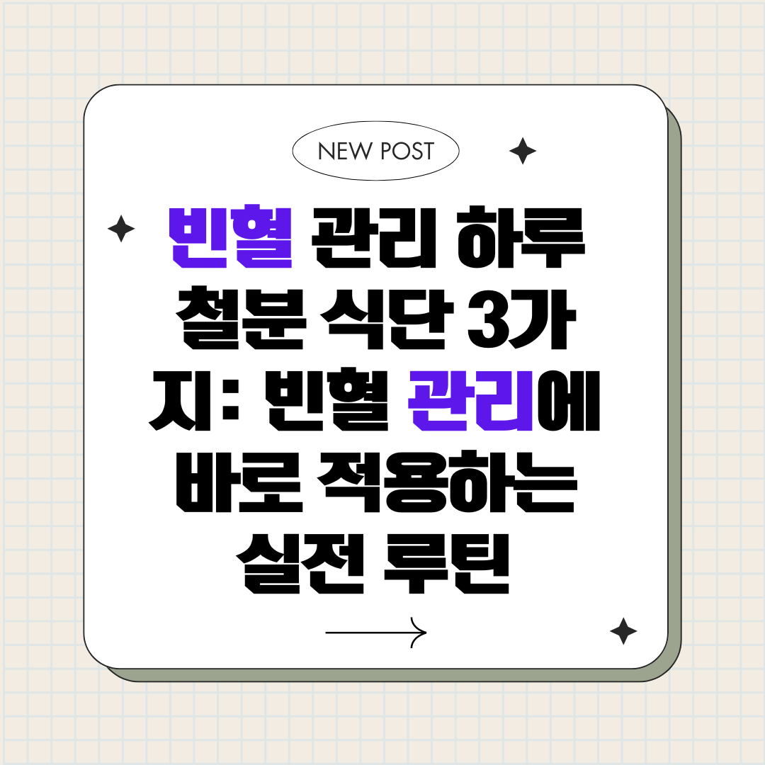 빈혈 관리 하루 철분 식단 3가지_빈혈 관리에 바로 적용하는 실전 루틴