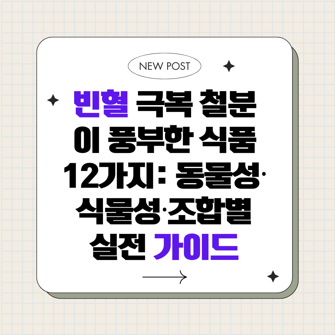 빈혈 극복 철분이 풍부한 식품 12가지_동물성·식물성·조합별 실전 가이드