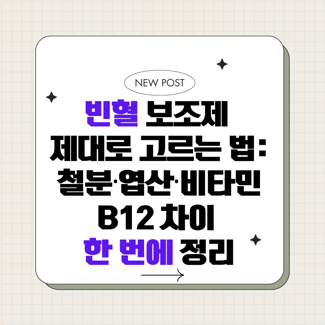 빈혈 보조제 제대로 고르는 법_철분·엽산·비타민 B12 차이 한 번에 정리