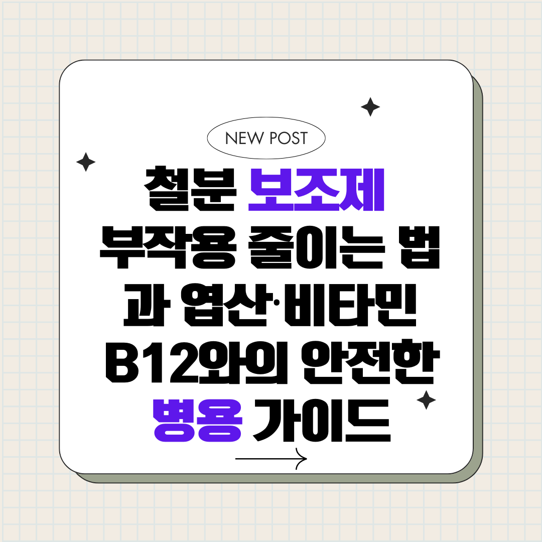 철분 보조제 부작용 줄이는 법과 엽산·비타민 B12와의 안전한 병용 가이드