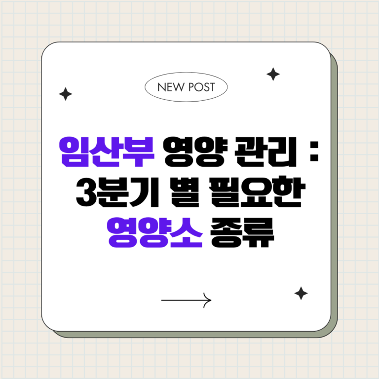 임산부 영양 관리 : 3분기 별 필요한 영양소 종류