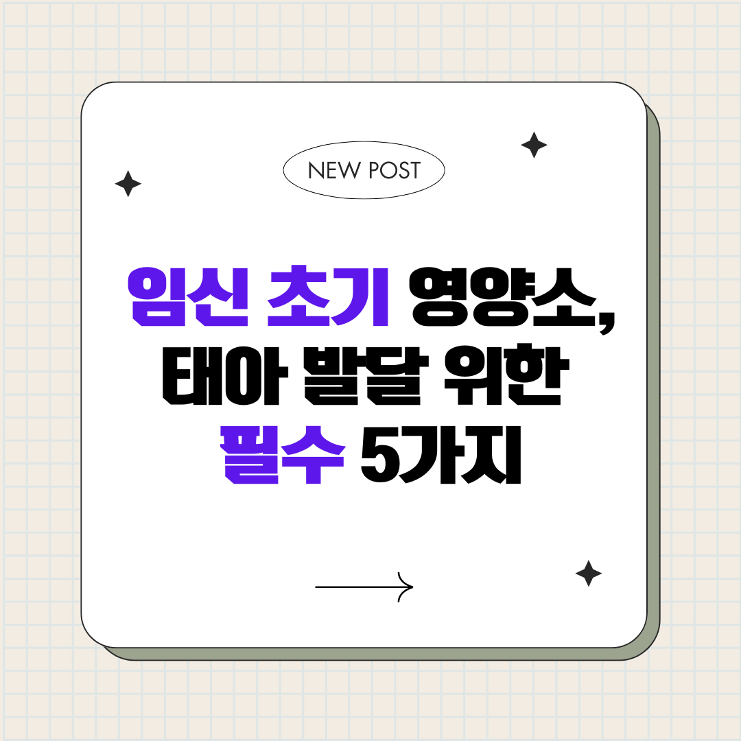 임신 초기 영양소, 태아 발달 위한 필수 5가지