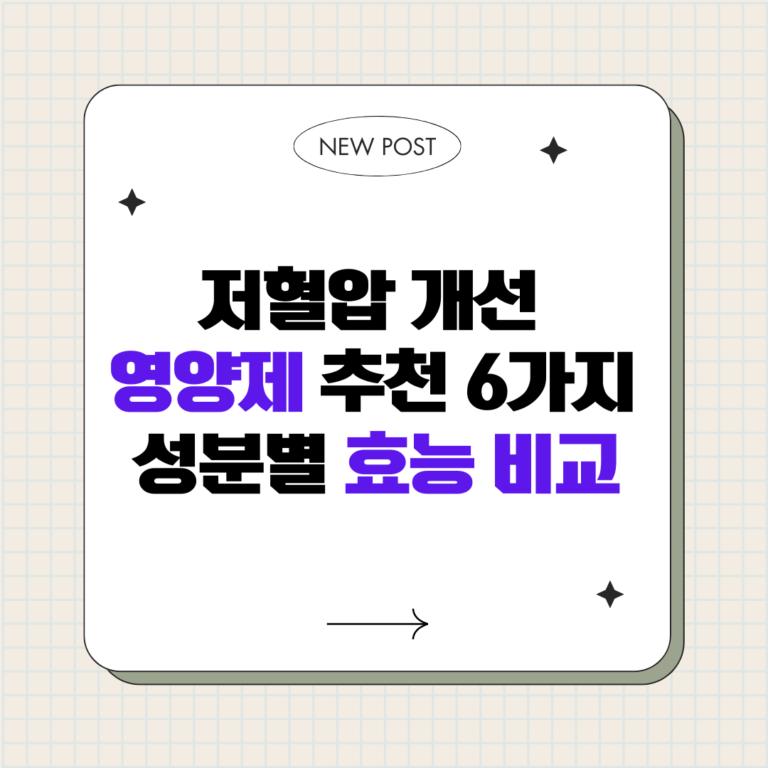 저혈압 영양제 6가지 핵심 성분과 선택 가이드