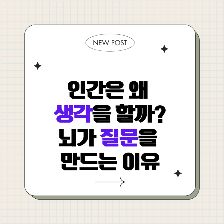 인간은 왜 생각을 할까 : 뇌가 질문을 만드는 이유