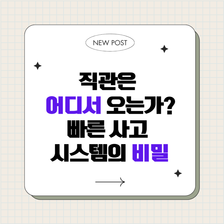 직관은 어디서 오는가 : 빠른 사고 시스템의 비밀